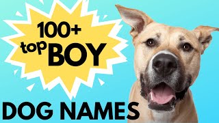 Top 100 Unique MALE Dog Names– Unusual Male Dog Names [upl. by Spanjian]