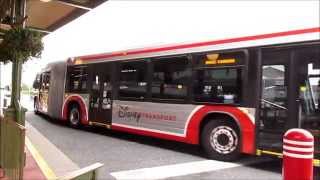 Inside Walt Disney Worlds New Articulated Bus [upl. by Shandee734]