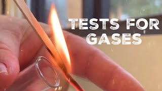 GCSE Science Chemistry 91  Tests for Gases [upl. by Winne892]