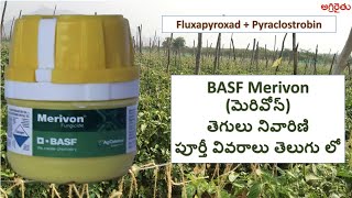 BASF Merivon మెరివోన్ తెగులు నివారిణి వివరాలు తెలుగు detail in Telugu [upl. by Lamhaj]