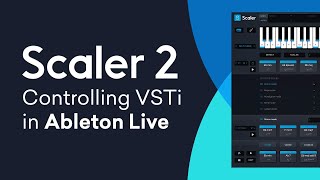 Scaler 2  VSTi Routing in Ableton Live  Quick Tip Tutorial [upl. by Auria789]