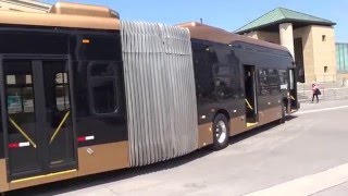 A Tour Of BYD Electric 60 Articulated Bus From California At Mississauga City Hall [upl. by Bascio572]