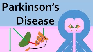 Parkinsons Disease and the Basal Ganglia [upl. by Gnel810]