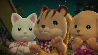 Clearing The Rumours 👀Calico Critters [upl. by Yanrahs]