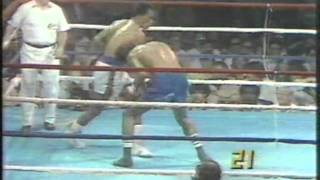 Sugar Ray Leonard vs Marcos Geraldo [upl. by Mrots]