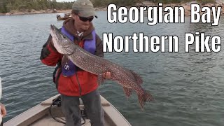 Big Georgian Bay Northern Pike  Fishn Canada [upl. by Zoltai244]