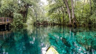 Dont Miss Kayaking in Iconic Silver Springs [upl. by Okemak961]