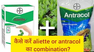 Aliette। Antracoal। Bayer। fungicide [upl. by Notsuj]