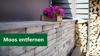 GartenWissen Moos effektiv entfernen [upl. by Eemiaj304]