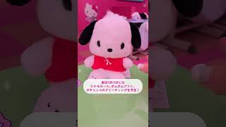 Galaxy × Sanrio Lovers Party：キャラクターグリーティングの様子を公開  Samsung [upl. by Collete]