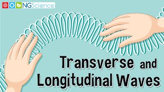 Transverse and Longitudinal Waves [upl. by Matty]