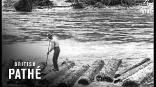 Logging In Idaho  USA 1926 [upl. by Devine871]