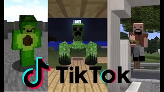 Avocados From Mexico 🥑⛏ Minecraft TIK TOK Compilation [upl. by Acirretahs]