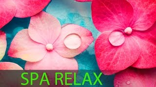 6 Hour Super Relaxing Spa Music Meditation Music Massage Music Relaxation Music Soothing ☯594 [upl. by Linetta]