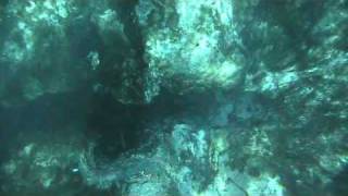 World Famous Glass Bottom Boat tours at Silver Springs Florida part 1 [upl. by Eilram]