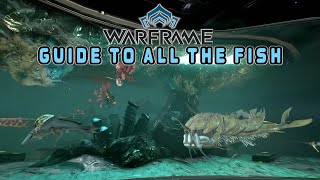 Warframe Fishing Guide  Plains of Eidolon Fortuna amp Cambion Drift  All the Fish amp Details [upl. by Nwahsal191]