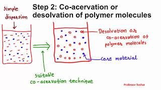 Microencapsulation by coacervation phase separation Microcapsule preparation [upl. by Aziaf]