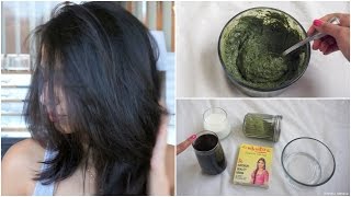 How to Apply Henna to hair at Home [upl. by Schaper493]