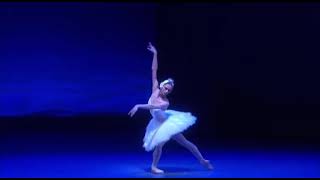 SWAN LAKE  Odette Variation Polina Semionova  Zurich Ballet [upl. by Engedi]