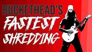 Bucketheads Fastest Shredding [upl. by Melly240]