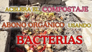 ACELERA EL COMPOSTAJE USANDO BACTERIAS [upl. by Ariait]