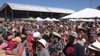 Melbourne Ska Orchestra Sierra Nevada World Music Festival June 21 2015 whole show [upl. by Nayb]