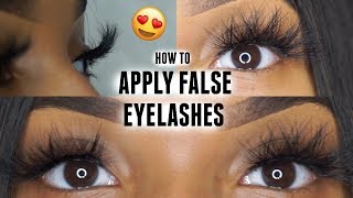 How to Apply Strip Lashes Quick amp Easy  BEGINNER FRIENDLY ♡ [upl. by Sik582]