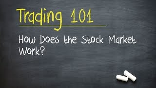 Trading 101 How Does the Stock Market Work [upl. by Laurice]