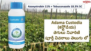 Adama Custodia అడామా కస్టోడియా Fungicide in Telugu  Software Engineer Farming [upl. by Wagstaff]