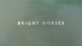 Nick Cave and The Bad Seeds  Bright Horses Official Lyric Video [upl. by Uhile]