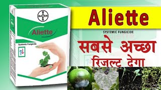 Bayer Aliette FungicideFosetyl ALTrue Systemic Fungicide [upl. by Portia]