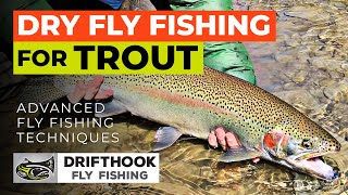 Dry Fly Fishing for Trout  Setup and Techniques [upl. by Akirehs]