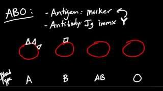 Blood Type ABO and Rh Made Simple [upl. by Niatsirk427]