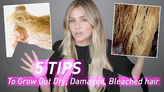 5 Tips to Grow Out Dry Damaged amp Bleached Hair [upl. by Torrance]