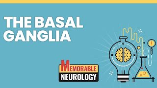 Basal Ganglia Mnemonics Memorable Neurology Lecture 4 [upl. by Alfonzo]