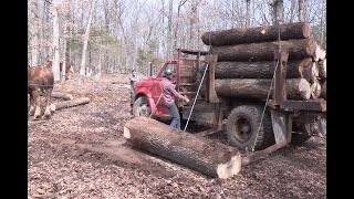 Horse Logging with Roy Pilgrim [upl. by Ardnaxela747]