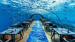 The Most Expensive Restaurant In The World [upl. by Ahsilla291]