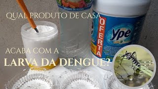 Eliminar LARVAS do MOSQUITO da DENGUE [upl. by Adnam47]