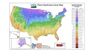 Plant Hardiness Zones  From the Ground Up [upl. by Nyletak]