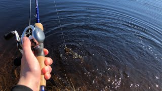 LURE FISHING FOR BROWN TROUT IN SCOTLAND [upl. by Fabi]