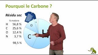 Pourquoi le carbone [upl. by Pacian603]