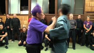 Ninja Grandmaster Masaaki Hatsumi Sensei demonstration [upl. by Cas]