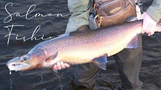 BIG SCOTTISH SALMON  Salmon fishing in Scotland [upl. by Ahsiema878]