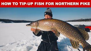 How To TipUp Fish For Northern Pike Complete Rigging [upl. by Tifanie990]