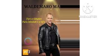 TIPS WALDEMARO MARTINEZ 03 [upl. by Ennaed536]