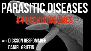 Parasitic Diseases Lectures 41 Schistosomes [upl. by Eenaj459]