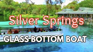 We Road The Glass Bottom Boat Tour in Silver Springs FLORIDA STATE PARK [upl. by Aihtnys]