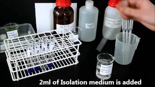 Photosynthesis in chloroplasts Hill Reaction [upl. by Paul]