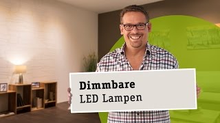 Dimmbare LED Lampen  die richtige Wahl von Leuchtmittel Trafo und Dimmer [upl. by Zannini568]