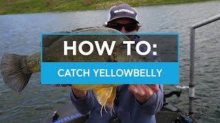 HOW TO Catch Yellowbelly Golden Perch at Lake Windamere [upl. by Hasheem137]